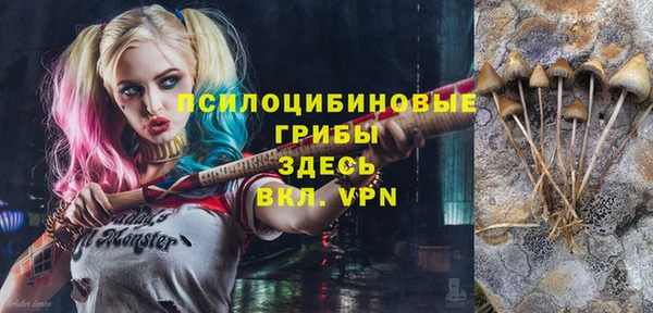 соль ск Алексеевка