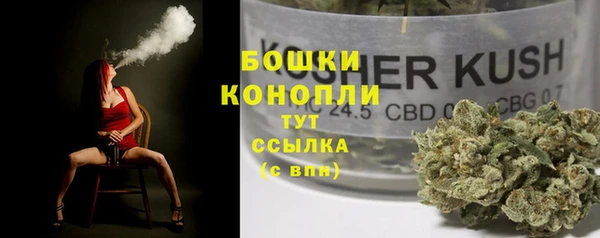 шишки Алзамай