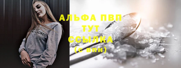 шишки Алзамай