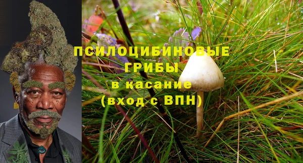 соль ск Алексеевка