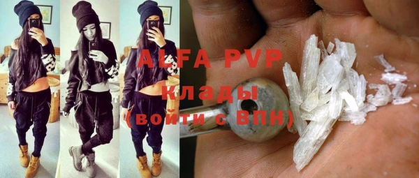 шишки Алзамай