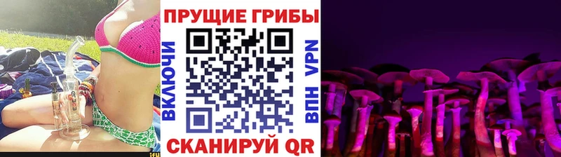 продажа наркотиков  Шебекино  Галлюциногенные грибы прущие грибы 